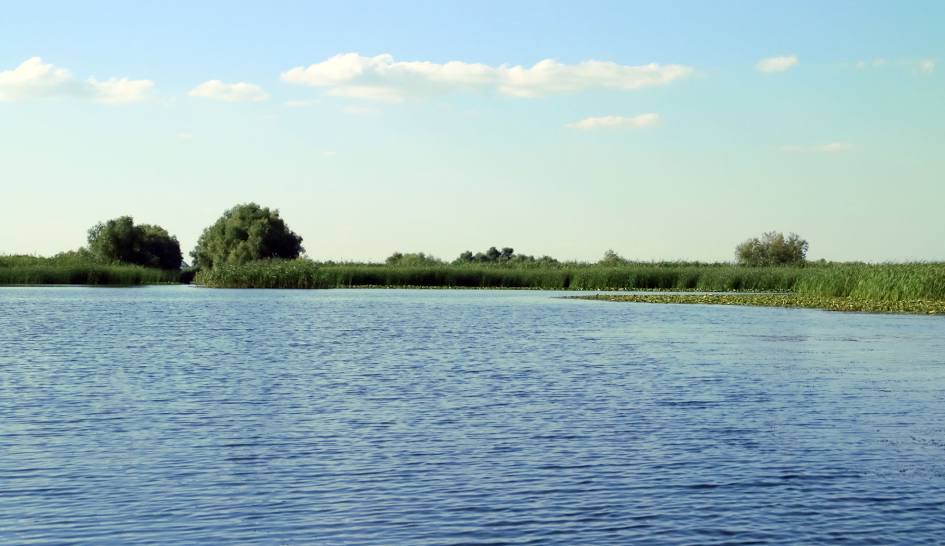 Gorgova Delta del Danubio